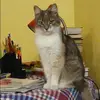 Отзыв от Оксана Симонова